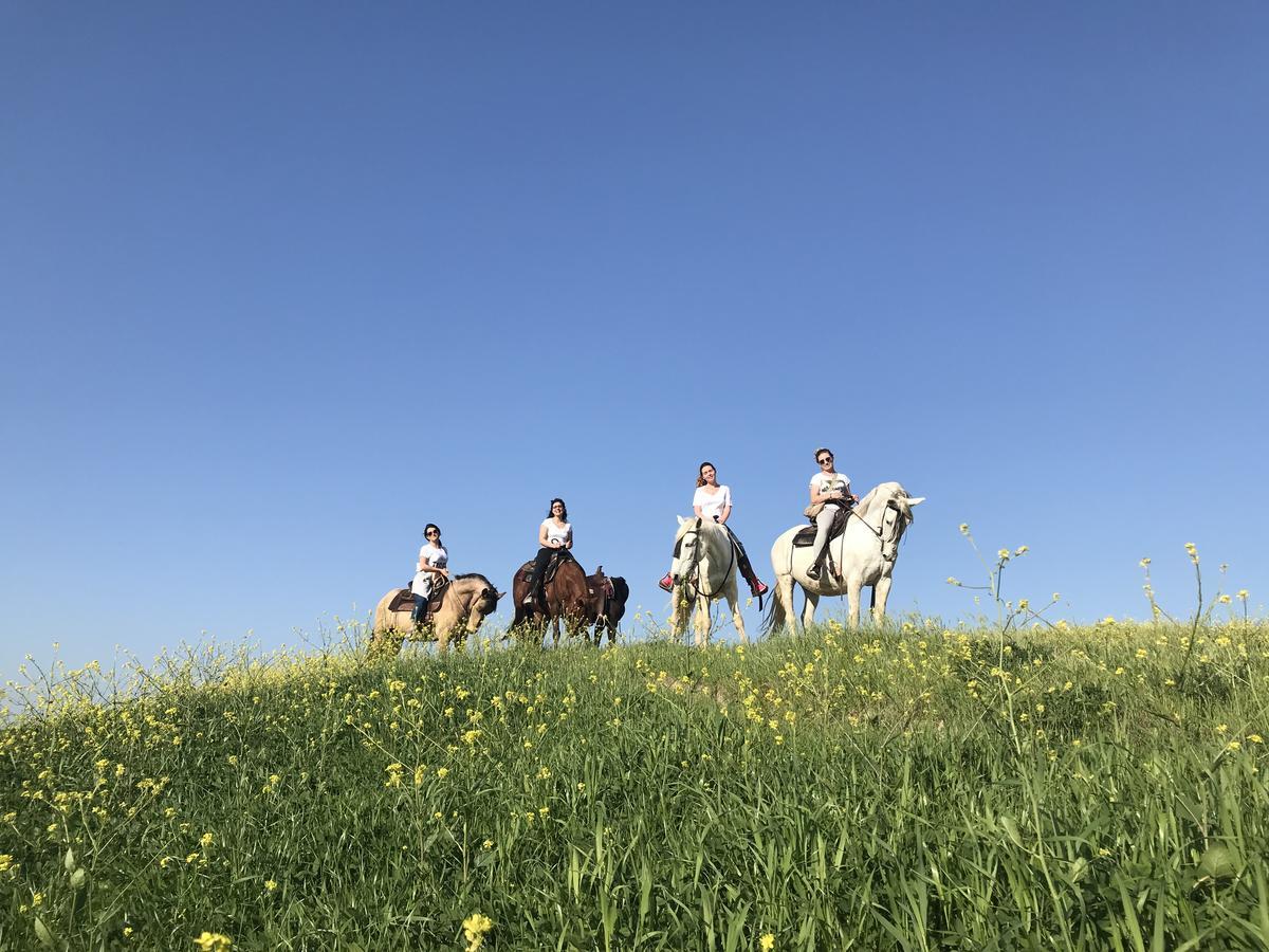 博恩孔文托Agriturismo Pieve Sprenna别墅 外观 照片