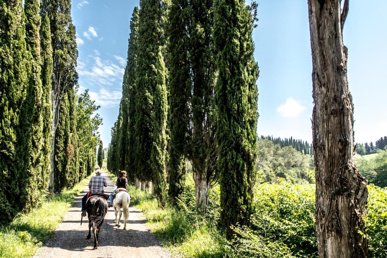 博恩孔文托Agriturismo Pieve Sprenna别墅 外观 照片