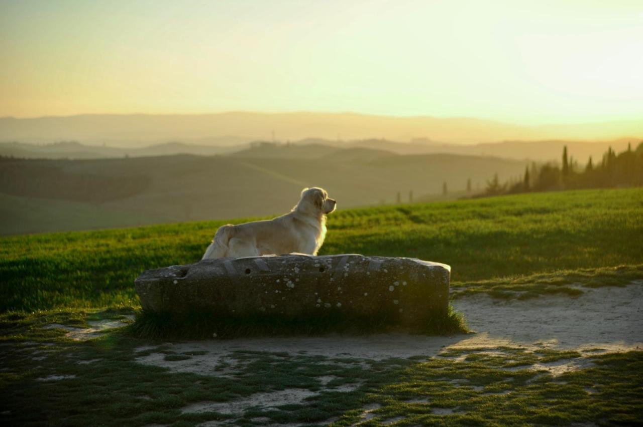 博恩孔文托Agriturismo Pieve Sprenna别墅 外观 照片