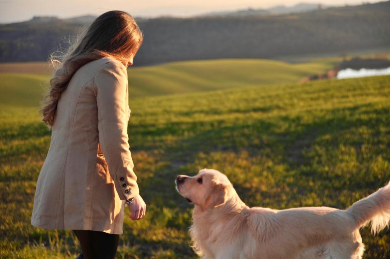 博恩孔文托Agriturismo Pieve Sprenna别墅 外观 照片